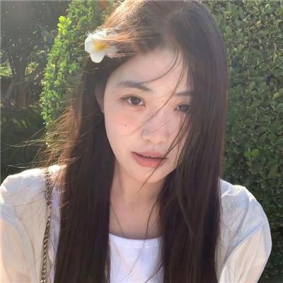 老虎连