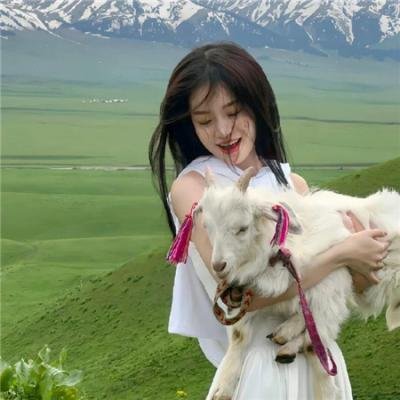 星星月亮没太阳